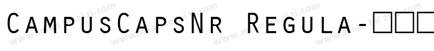 CampusCapsNr Regula字体转换
